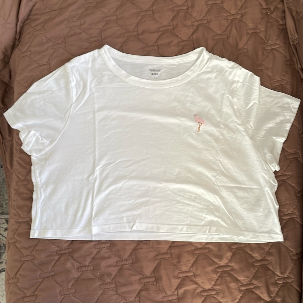 Casual Aritzia Crop Top